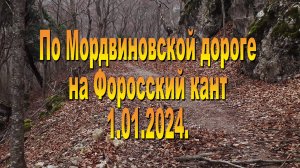 1.01.2024. Мордвиновская дорога