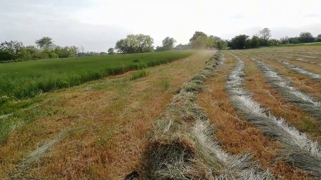 ОБЗОР НА ГРАБЛИ ГВК 6 и сгребание сена. смотреть онлайн
