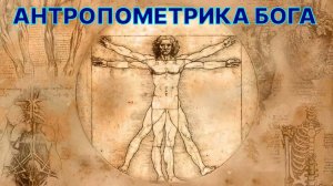 Антропометрика Бога. Тело Бога