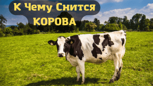 К чему снится КОРОВА или видеть во сне КОРОВУ | Толкование снов | Сонник Sk1.online