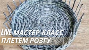 Плетение розги из бумажной лозы в прямом эфире | LOZAMASTER