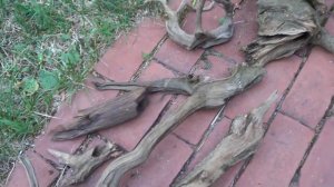 #378: How to Find Driftwood in a Lake - Update Monday