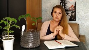 БОЛЕЗНЬ ЧЕРНАЯ НОЖКА НА РАССАДЕ ТОМАТОВ! ИЗБАВЛЯЕМСЯ ОТ ЧЕРНОЙ НОЖКИ И ДРУГИХ ГРИБКОВЫХ ЗАБОЛЕВАНИЙ