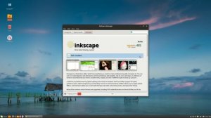 how to install inkscape in linux mint 17.3 without terminal codes