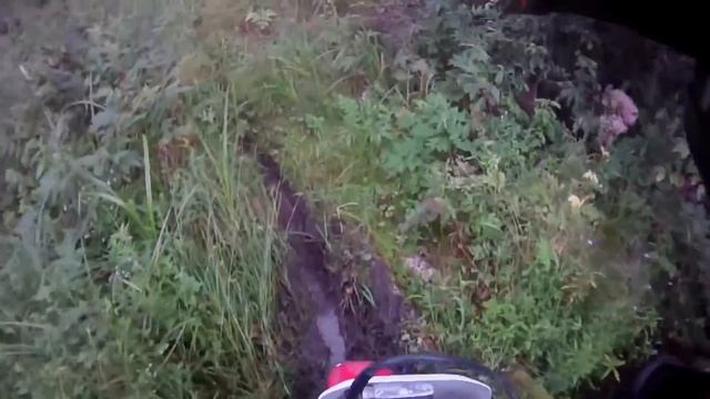 Жесткий прохват в лесу смотреть онлайн