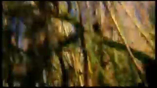 АлисА - Веретено (AlisA - Spindle) смотреть онлайн