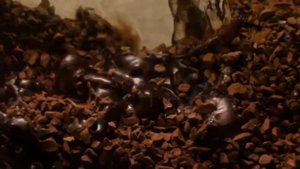 Реклама NESCAFÉ Gold “ Weekend - Выходные ”