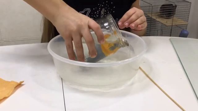 Роды цихлиды смотреть онлайн