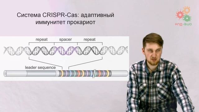Регуляция работы генов. Регуляторные РНК