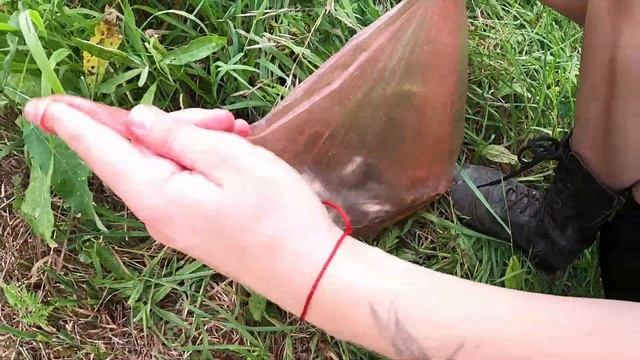 ПОЕХАЛИ НА РЕЧНУЮ РЫБАЛКУ НА АЛЬФЕ И ПИТБАЙКЕ смотреть онлайн