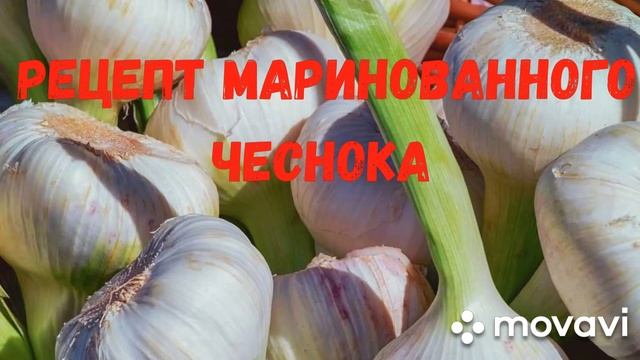 Рецепт малосольного чеснока. Супер лёгкий и очень вкусный! смотреть онлайн