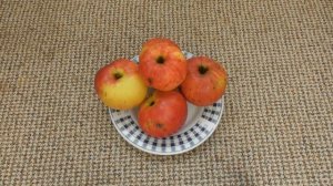 Яблоки сорта Джонатан в мае. Состояние и качество плодов - мой опыт