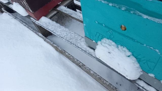 10.02.2023 на лесных тачках смотреть онлайн