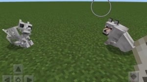 Minecraft wolf mod skeleton wolf And and big wolf