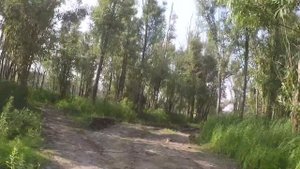 26 08 2017 Сайгатино Scorpions   No Pain No Gain