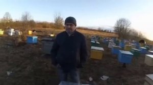 Посещение пасеки в 350 семей (варечкна пасека) Клементьев Сергей.