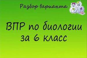 Биология. Разбор варианта ВПР по биологии 6 класс. Вариант 1