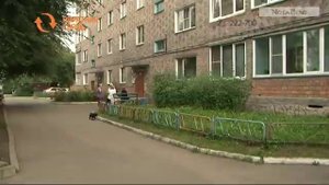 Что делать с буйными соседями?