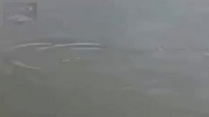 ФИДЕРНАЯ ЛОВЛЯ КАРПА МОНТАЖ