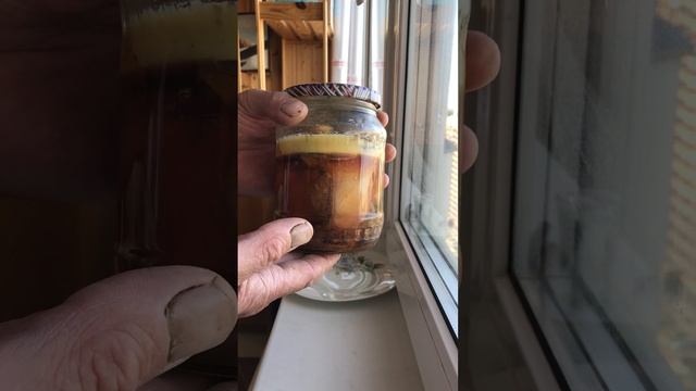 Язык говяжий в автоклаве смотреть онлайн