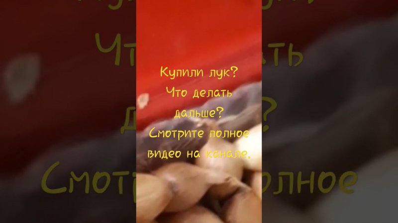 Купили лук?