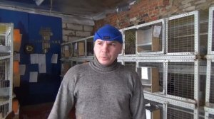 Бизнес на кроликах  5