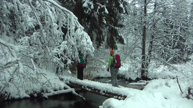 HD видео Орехово лыжи 14.11.2009 смотреть онлайн