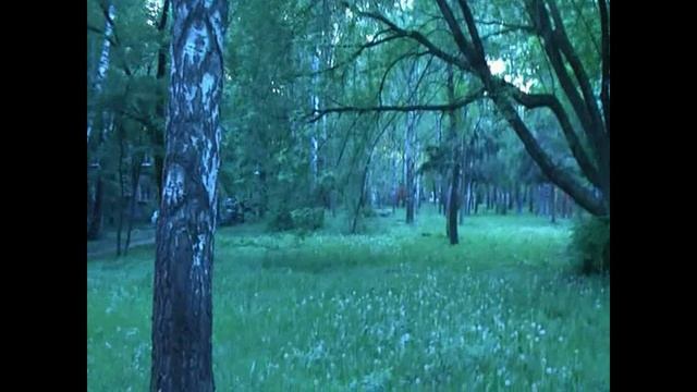 НОВОРУБЛЁВСКАЯ УЛИЦА .avi смотреть онлайн