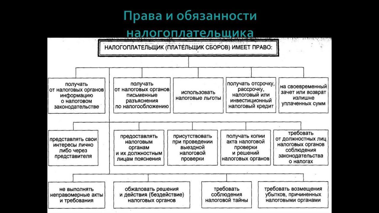 Налогоплательщики: права и обязанности. ЕГЭ 2019 Обществознание.