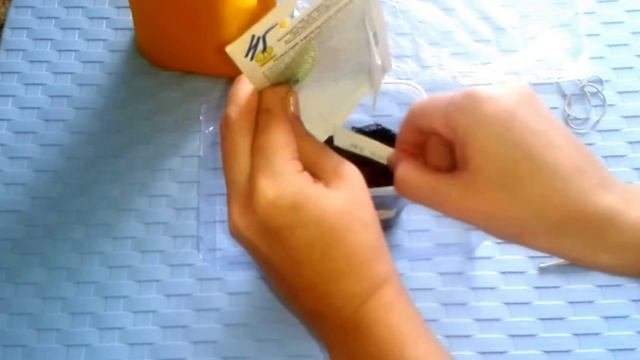 Лобелия.Выращивание рассады Посев семян лобелии. Часть 1 ( 29.01.16 )