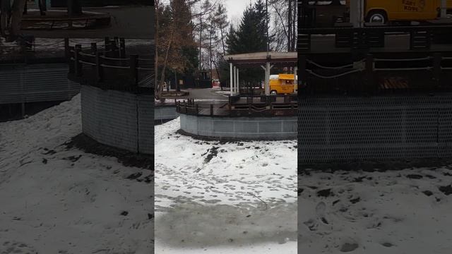Томск. Городской сад. Пруд. смотреть онлайн