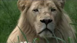 Общий Зоопарк октябрь