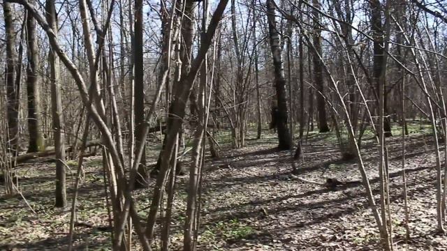 множественное теневое клонирование смотреть онлайн