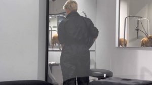 ГРУМИНГ ЧИХУАХУА. ДЕЛАЕМ ИРОКЕЗ.