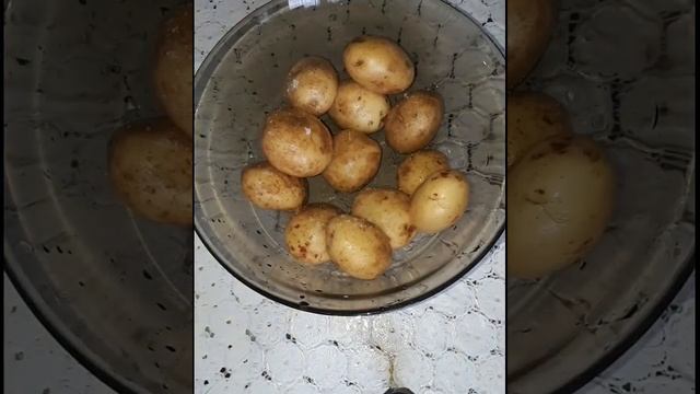 ?Сом запечённый в духовке с картофелем?