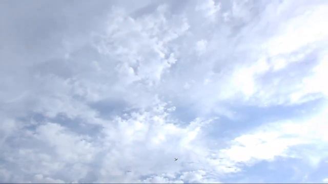 Бензиновый самолет модель полёты смотреть онлайн