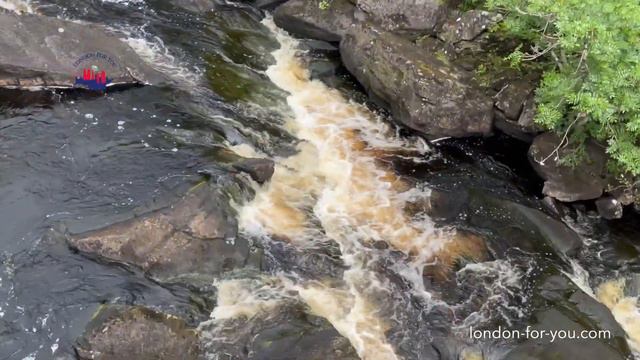 1292 Rogie Falls водопад Шотландии смотреть онлайн