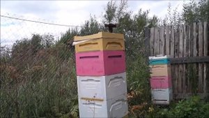 Самодельные ульи из ППУ на пасеке