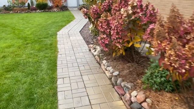 Золотая осень в моём ЦВЕТНИКЕ?Барбарисы?, Верески?, Гортензии ?великолепные растения для сада? смотреть онлайн