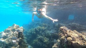 Коралловый риф у отеля Mirage Bay Resort & Aqua Park 4*,много рыбок,смелый СКАТ,неописуемая красота