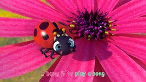 Cody's Bath Song! | @CoComelon | Cocomelon Kids Songs