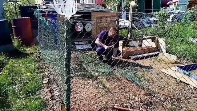 Муларды. Выгул для уток . Выращивание мулардов. 
#папанадаче