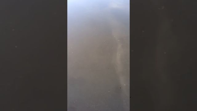 Песочный фильтр-насос для бассейна смотреть онлайн