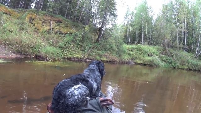 Пеше-водный поход с рыбалкой. Часть 4. Лесная изба. Хариус на спиннинг. Один в тайге. Сплав по реке смотреть онлайн