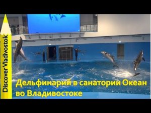 ДЕЛЬФИНАРИЙ В САНАТОРИИ ОКЕАН / Dolphinarium of Ocean Medical Center Vladivostok