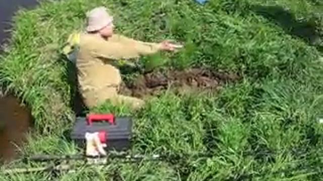 Паутиныч смотреть онлайн