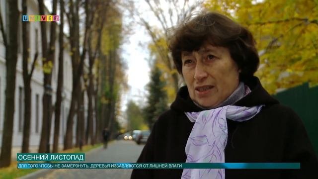 Осенний листопад