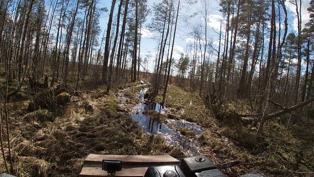 Весенняя охота на гуся в Вологодской области 2024 часть 1