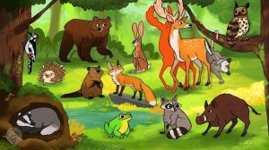 Baboo Animal Puzzles Part 3