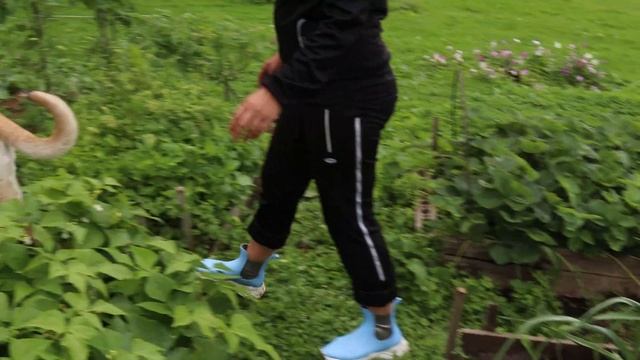 рассада лук порей готова смотреть онлайн